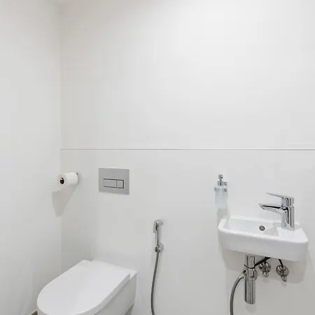 Triple Balcony 公寓 布拉格